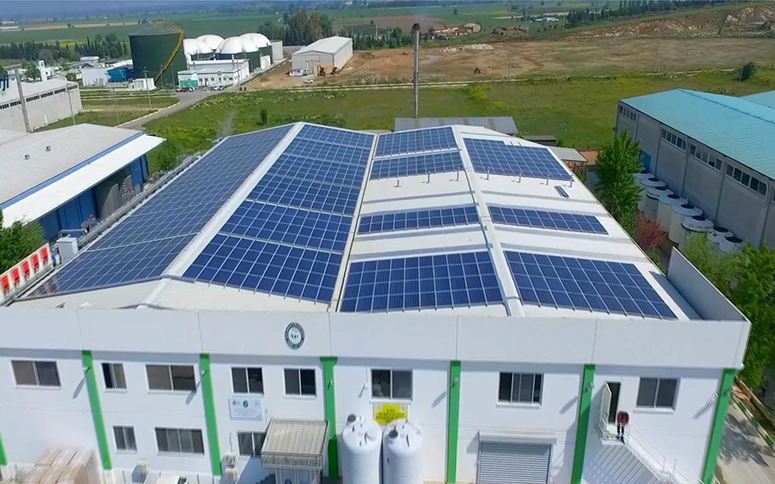 Tire Süt Kooperatifi GES